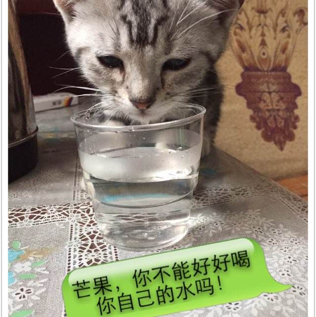康威景观设计学校文凭毕业证怎么买高仿